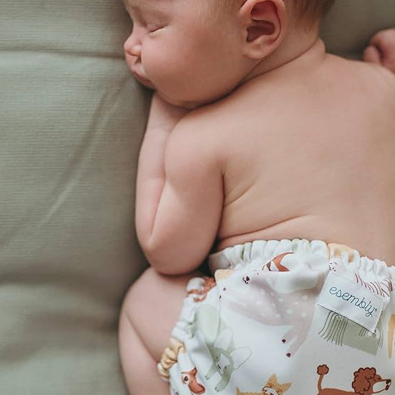 Leakage Proof Reusable Cloth Diaper for Baby (Pack of 2)